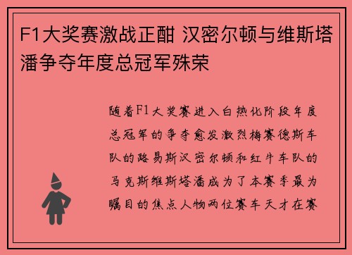 F1大奖赛激战正酣 汉密尔顿与维斯塔潘争夺年度总冠军殊荣